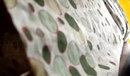 両方の男性は、成熟した女性を跳びました 鈴木 一徹 ラブラブ 動画