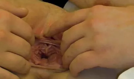 赤毛の女の子は壁の穴を通してフェラチオを与える 女性 の 為 の エッチ 動画