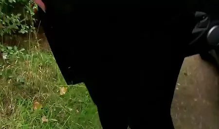 美女でセクシーランジェリー相互舐め帽子その他 女性 向け av 無料 動画